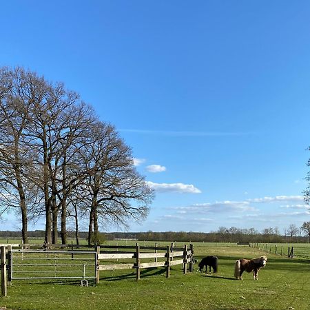 Ferienhof Westermann Waldblick Lahden Экстерьер фото