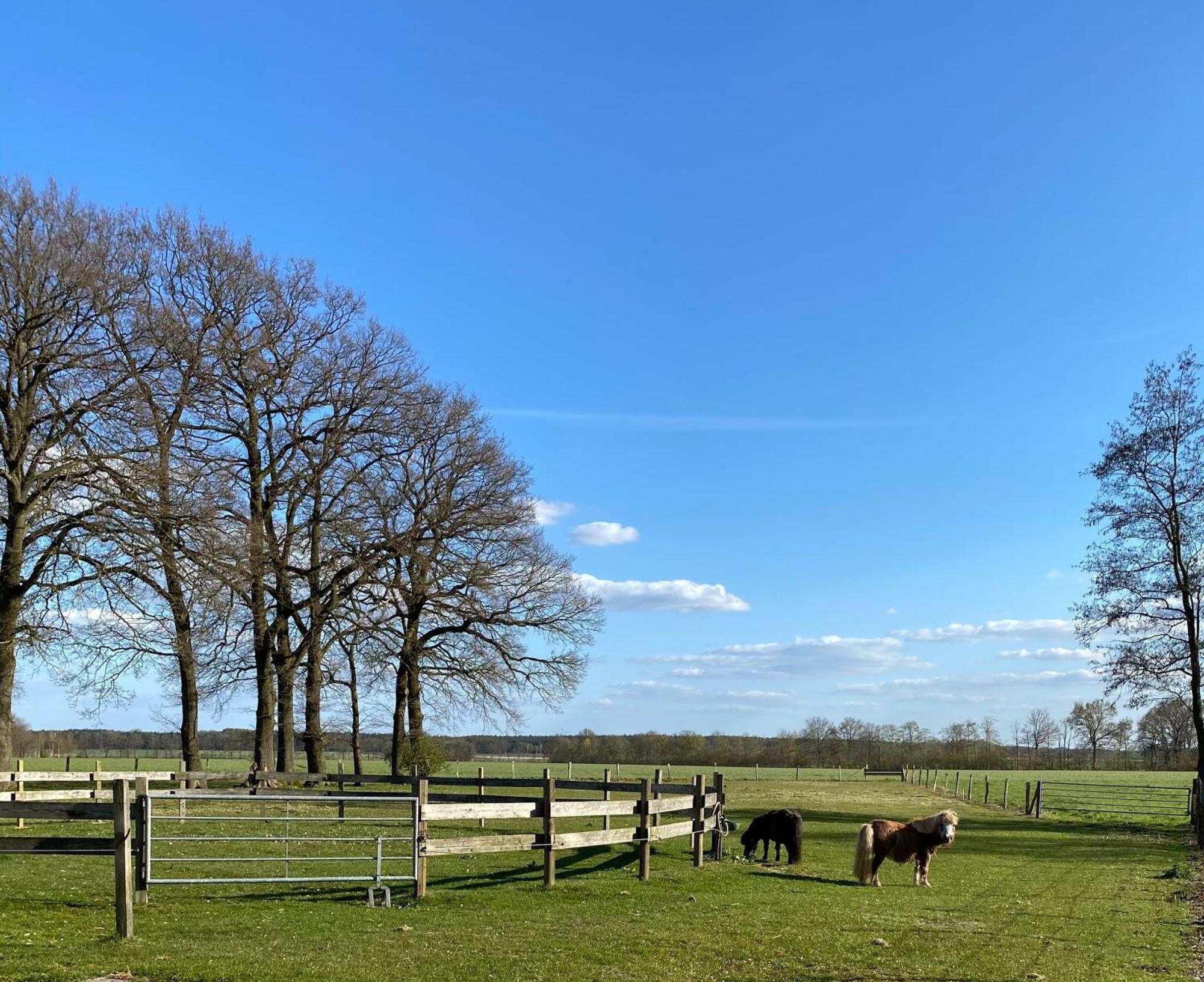 Ferienhof Westermann Waldblick Lahden Экстерьер фото